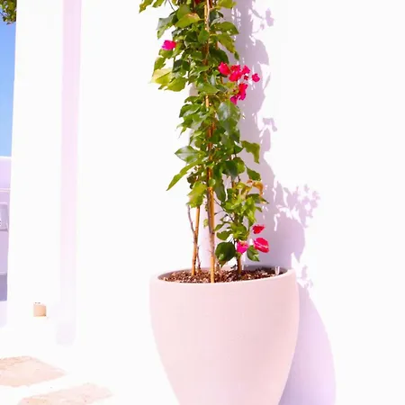 Lemon Tree Maisonette - Paros Nausa