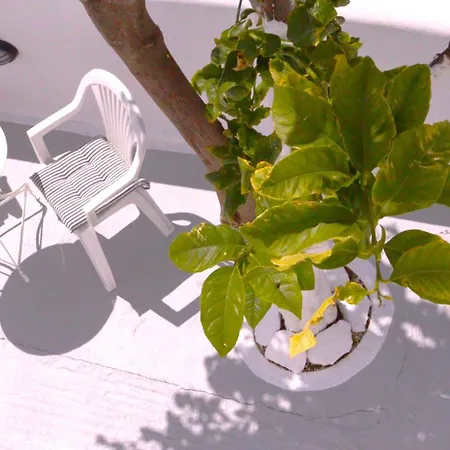 Lemon Tree Maisonette - Paros Apartment *