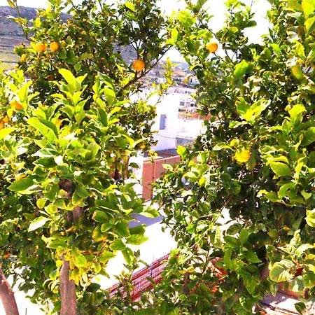 Lemon Tree Maisonette - Paros