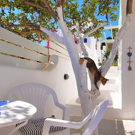 Apartmán Lemon Tree Maisonette - Paros