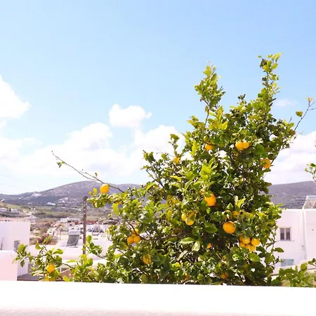 Lemon Tree Maisonette - Paros Apartment *
