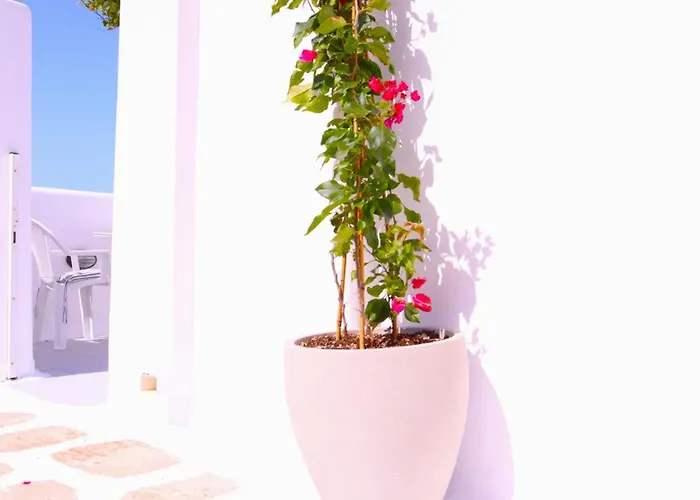 Lemon Tree Maisonette - Paros ناوسا